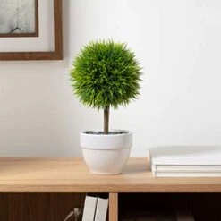 Torre & Tagus 901836 Jardin Topiary Grass Ball, 10-Inch 8 Torre & Tagus 901836 Jardin Topiary Grass Ball, 10-Inch -Artificial Trees Store 41ZL5i69srL