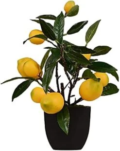 Wnvivi Artificial Lemon Tree Topiary, Fake Lemon Tree Plastic Lemon Tree Bonsai Green Plant Potted Artificial Plants In Pots For Bathroom Shop Office Table, Yellow -Artificial Trees Store 41ZXLcEv OS. AC