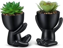 WOODWORD Fake Succulent, Mini Succulents Plants Artificial In Black Modern Human Shaped Ceramic Pots Cute Desk Decor For Office Decor For Women, Bathroom 2PCS 20 WOODWORD Fake Succulent, Mini Succulents Plants Artificial In Black Modern Human Shaped Ceramic Pots Cute Desk Decor For Office Decor For Women, Bathroom 2PCS -Artificial Trees Store 41ZYxcblHL. AC