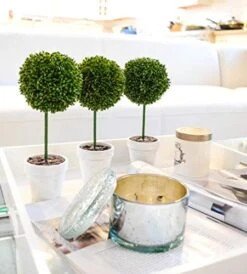 Admired By Nature 9" H Artificial Boxwood Ball Topiary Plant Tabletop, Set Of 3, 3 Count -Artificial Trees Store 41ZhCCDmK1L