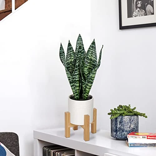 Briful 14'' Fake Snake Plant Home Decor Real Touch Faux Sansevieria Plant In White Ceramic Pot With Wooden Stand Artificial Snake Plant With Wide Leaves For Kitchen Living Room Bathroom Decorations 4 Briful 14'' Fake Snake Plant Home Decor Real Touch Faux Sansevieria Plant In White Ceramic Pot With Wooden Stand Artificial Snake Plant With Wide Leaves For Kitchen Living Room Bathroom Decorations - Image 2