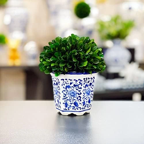 Galt International 7" Preserved Natural Boxwood In Ceramic Pot - Plant And Table Centerpiece - Stunning Greenery And Plant Decor For Home - Blue & White (Small 7" Tall Topiary) 10 Galt International 7" Preserved Natural Boxwood In Ceramic Pot - Plant And Table Centerpiece - Stunning Greenery And Plant Decor For Home - Blue & White (Small 7" Tall Topiary) - Image 8