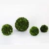 BoxwoodValley Preserved Boxwood Ball Large 8 Inch Boxwood Ball Topiary Vase Fillers For Wedding Party Christmas Balls, Home Hang Ball Decor(Ball, 8") -Artificial Trees Store 41atCQIsudL