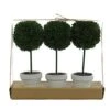 Admired By Nature 9" H Artificial Boxwood Ball Topiary Plant Tabletop, Set Of 3, 3 Count -Artificial Trees Store 41axe11nGqL