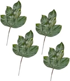 Factory Direct Craft Artificial Magnolia Leaf Bush Realistic Faux Magnolia Leaves For Natural Look Greenery In Floral Designs, Wedding Decor, Home Decor, And Holiday Decorating 22 Factory Direct Craft Artificial Magnolia Leaf Bush Realistic Faux Magnolia Leaves For Natural Look Greenery In Floral Designs, Wedding Decor, Home Decor, And Holiday Decorating -Artificial Trees Store 41bMgdxyzL. AC