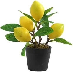 UNIE Artificial Lemon Topiary Mini Tree Potted Fake Plants In Pot For Home Office Decorations -Artificial Trees Store 41bhpdWgc2L. AC