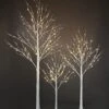 LIGHTSHARE 4 Feet 6 Feet And 8 Feet Birch Tree,Warm White, For Home,Pack Of 3, Festival, Party, And Christmas Decoration, Indoor And Outdoor Use -Artificial Trees Store 41bpgUGrVCL