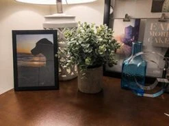 Winlyn Mini Potted Plants Artificial Eucalyptus Boxwood Rosemary Greenery In Pots Faux Potted Herbs Small Houseplants 8.3"-9" Tall For Indoor Greenery Tabletop Décor Centerpiece 3 Pack 9 Winlyn Mini Potted Plants Artificial Eucalyptus Boxwood Rosemary Greenery In Pots Faux Potted Herbs Small Houseplants 8.3"-9" Tall For Indoor Greenery Tabletop Décor Centerpiece 3 Pack -Artificial Trees Store 41bsvMph6ML