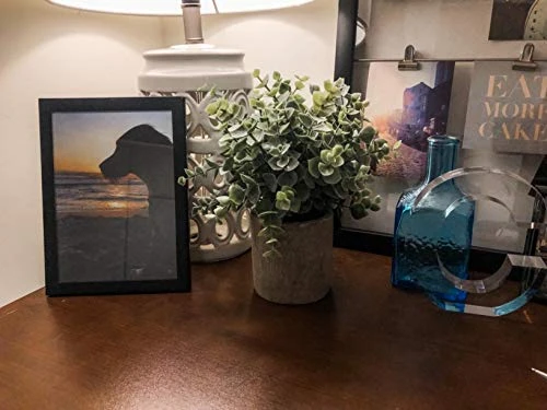 Winlyn Mini Potted Plants Artificial Eucalyptus Boxwood Rosemary Greenery In Pots Faux Potted Herbs Small Houseplants 8.3"-9" Tall For Indoor Greenery Tabletop Décor Centerpiece 3 Pack 6 Winlyn Mini Potted Plants Artificial Eucalyptus Boxwood Rosemary Greenery In Pots Faux Potted Herbs Small Houseplants 8.3"-9" Tall For Indoor Greenery Tabletop Décor Centerpiece 3 Pack - Image 4