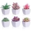 CEWOR 6pcs Artificial Succulent Plants In Pots, Small Fake Succulent Plants Assorted Colors Faux Succulent In Ceramic Pots For Office Desk Decor Shelves Home Bedroom Decoration -Artificial Trees Store 41bxMNw73rL