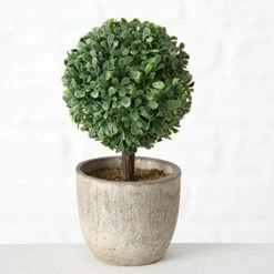 WHW Whole House Worlds Realistic Faux Boxwood Sculptural Topiary, Set Of 3, Curly Leaf, Cone And Ball Tops, Gray Stone Pot, Each 5.5 Inches Tall, Mixed Materials -Artificial Trees Store 41c6FdZobeL