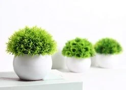 FEILANDUO 4 Pcs Mini Artificial Plants Potted Small Fake Plants For Shelf Green Plant In White Plastic Pot For Home Bathroom Decor Faux Plants (White, Set Of 4) 12 FEILANDUO 4 Pcs Mini Artificial Plants Potted Small Fake Plants For Shelf Green Plant In White Plastic Pot For Home Bathroom Decor Faux Plants (White, Set Of 4) -Artificial Trees Store 41cEk83s7QL