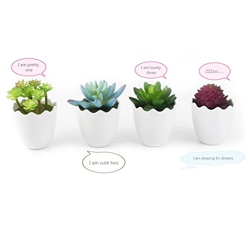 Myartte Artificial Succulent Plants Fake Succulents Mini Faux Plants For Home/Office Docor (Resin Pots) … 8 Myartte Artificial Succulent Plants Fake Succulents Mini Faux Plants For Home/Office Docor (Resin Pots) … - Image 6