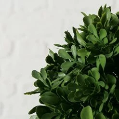 WHW Whole House Worlds Realistic Faux Potted Boxwood Ball Topiary Tree, Rattan Basket Planter, 17 Inches Tall, Weighted Bottom, French Country Style 10 WHW Whole House Worlds Realistic Faux Potted Boxwood Ball Topiary Tree, Rattan Basket Planter, 17 Inches Tall, Weighted Bottom, French Country Style -Artificial Trees Store 41dRN2t1RoL