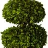 Preserved Boxwood With Double Ball And Cone 2 Preserved Boxwood With Double Ball And Cone -Artificial Trees Store 41dUsgYiS1L