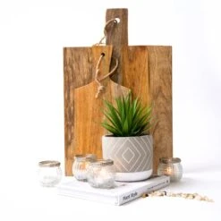 Kurrajong Farmhouse 8" X 4.5" Beautiful Fake Plant | Artificial Potted Plant Decor | Faux Plant | Artificial Succulent Plants Potted For Home Decor Indoor | Fake Potted Plant | Fake Succulents 11 Kurrajong Farmhouse 8" X 4.5" Beautiful Fake Plant | Artificial Potted Plant Decor | Faux Plant | Artificial Succulent Plants Potted For Home Decor Indoor | Fake Potted Plant | Fake Succulents -Artificial Trees Store 41dcaMUc5TL