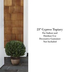 Home Pure Garden Artificial Cypress Topiary-23” Ball Style Faux Plant In Sturdy Realistic Indoor Or Outdoor Potted Shrub Décor 13 Home Pure Garden Artificial Cypress Topiary-23” Ball Style Faux Plant In Sturdy Realistic Indoor Or Outdoor Potted Shrub Décor -Artificial Trees Store 41dkfdT6nML