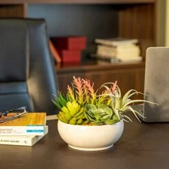 10 In 1- Fake Plants In Pot -Artificial Succulents Plant For Desk Decor -Small Faux Plants Indoor Modern Farmhouse Plants Artificial Decor -Potted Small Plants Decor For Bedroom Bathroom Office Shelf -Artificial Trees Store 41eDd3kdK9L