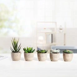 Jelofly Fake Plants Artificial Succulent Plants Assorted Decorative Faux Succulent Potted Fake Cactus Cacti Plants Gray Pots, Set Of 5 -Artificial Trees Store 41eZKUJozoL