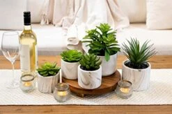Kurrajong Farmhouse Artificial Succulent Plants In Pots | Mini Fake Plant For Shelves | Artificial Plants For Home Decor Indoor | Succulent Plants Artificial | Mini Plant Decor | Small Faux Plants -Artificial Trees Store 41fGiZalUWL