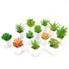 Faux Succulents In Pots Fake Succulents Small Artificial Succulents Potted For Home Office Desk Farmhouse Greenery Decor, 12 Pack -Artificial Trees Store 41fUTlHIw6L