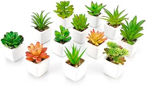 Faux Succulents In Pots Fake Succulents Small Artificial Succulents Potted For Home Office Desk Farmhouse Greenery Decor, 12 Pack 9 Faux Succulents In Pots Fake Succulents Small Artificial Succulents Potted For Home Office Desk Farmhouse Greenery Decor, 12 Pack - Image 7