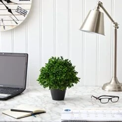 Nearly Natural Mini 10in. Boxwood Topiary Artificial Plant UV Resistant (Indoor/Outdoor), Green -Artificial Trees Store 41fUV3tQWmL