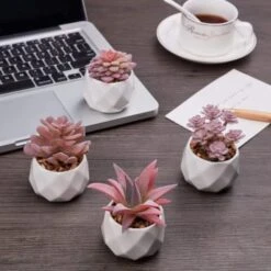 VIVERIE Rose Pink Faux Succulents In White Ceramic Pot Set Of 4 - Plant Gifts, Cute Aesthetic Pink Room, Home Decor Accents, Centerpieces, Bathroom Decor, Mum Gifts, Cactus Decor, Succulents Wedding -Artificial Trees Store 41fZ68TNYcL