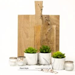 Kurrajong Farmhouse Artificial Succulent Plants In Pots | Mini Fake Plant For Shelves | Artificial Plants For Home Decor Indoor | Succulent Plants Artificial | Mini Plant Decor | Small Faux Plants -Artificial Trees Store 41gYUjEQ9vL