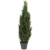 Nearly Natural 5172 4ft. Cedar Tree Silk Tree (Indoor/Outdoor),Green,49.5" X 9" X 9" -Artificial Trees Store 41gds1EGcSL