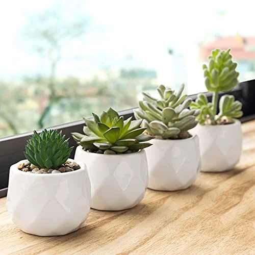 MyGift Set Of 4 Mini Assorted Artificial Succulent Fake Plants In Modern White Textured Ceramic Plant Pots 5 MyGift Set Of 4 Mini Assorted Artificial Succulent Fake Plants In Modern White Textured Ceramic Plant Pots - Image 3