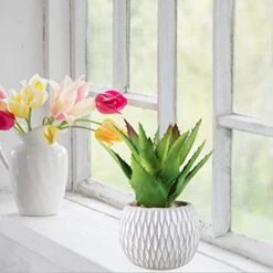 Set Of 3 Small Potted Succulents Plants Artificial Aloe Hops Succulents In Gray Concrete Ceramic Planter Geometry Pattern For Party Favor Gift Windowsill Tabletop Shelf Indoor Outdoor Greenery Decor -Artificial Trees Store 41h9PygMD1L