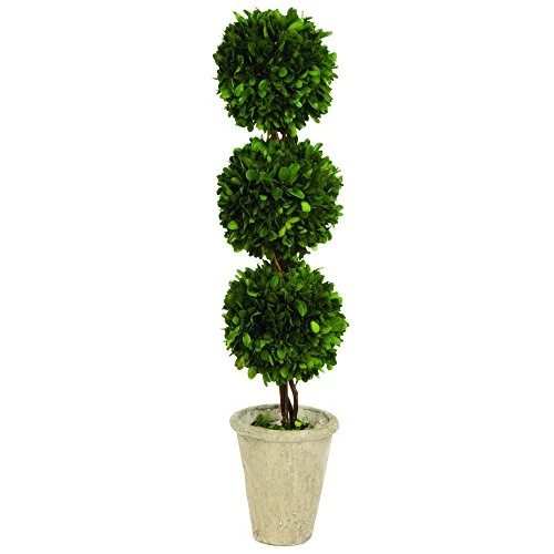 Tradingsmith Preserved Boxwood Triple Ball Topiary - 26" 3 Tradingsmith Preserved Boxwood Triple Ball Topiary - 26"