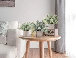 A Bundle Of Pack Mini Potted Fake Plants And 2 Packs Mini Fake Plants Small Artificial Plants For Bathroom Farmhouse Office Home Decor Indoor -Artificial Trees Store 41hFwWeJRuL