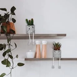 SEMSOIIO 2 Pcs Fake Plants In Cement Pot With Hanging Legs, Creative Artificial Faux Succulent For Home/Office Decor (Tongue & Smoking) 18 SEMSOIIO 2 Pcs Fake Plants In Cement Pot With Hanging Legs, Creative Artificial Faux Succulent For Home/Office Decor (Tongue & Smoking) -Artificial Trees Store 41hdOhG0rTL