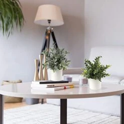 Briful Mini Fake Plants Set Of 2 Small Faux Plant Eucalyptus Rosemary Greenery Potted Plants Artificial Decor For Home Table Office Room Desk Bathroom Shelf Kitchen Farmhouse Mantel Decoration 16 Briful Mini Fake Plants Set Of 2 Small Faux Plant Eucalyptus Rosemary Greenery Potted Plants Artificial Decor For Home Table Office Room Desk Bathroom Shelf Kitchen Farmhouse Mantel Decoration -Artificial Trees Store 41hf0tnOpnL