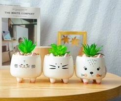 B SEPOR 3 Little Kitty Cats Small Artificial Succulents Potted With White Porcelain Pots Ceramic Animal Planter Gift Set For Home And Office Decor -Artificial Trees Store 41hgzH99blL