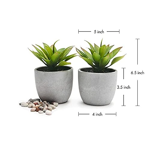 Kurrajong Farmhouse Fake Plants | Fake Succulents Set Of Two | Succulent Plants Artificial | Artificial Succulents | Fake Agave Artificial Plants 4 Kurrajong Farmhouse Fake Plants | Fake Succulents Set Of Two | Succulent Plants Artificial | Artificial Succulents | Fake Agave Artificial Plants - Image 2