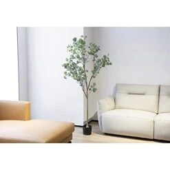 DIIGER Artificial Tree 6FT (72'') Tall Artificial Eucalyptus Tree, Fake Silver Dollar Leaves Faux Eucalyptus Stems, Mordern Artificial Tree Plants For Home Office Perfect Housewares Gift Decoration -Artificial Trees Store 41hv25R11tL