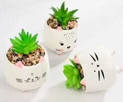 B SEPOR 3 Little Kitty Cats Small Artificial Succulents Potted With White Porcelain Pots Ceramic Animal Planter Gift Set For Home And Office Decor -Artificial Trees Store 41hvZbkC9fL