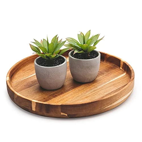 Kurrajong Farmhouse Fake Plants | Fake Succulents Set Of Two | Succulent Plants Artificial | Artificial Succulents | Fake Agave Artificial Plants 5 Kurrajong Farmhouse Fake Plants | Fake Succulents Set Of Two | Succulent Plants Artificial | Artificial Succulents | Fake Agave Artificial Plants - Image 3
