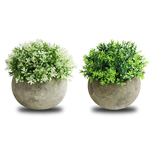 THE BLOOM TIMES 2 Pcs Fake Plant For Bathroom/Home Office Decor, Small Artificial Faux Greenery For House Decorations (Potted Plants) 3 THE BLOOM TIMES 2 Pcs Fake Plant For Bathroom/Home Office Decor, Small Artificial Faux Greenery For House Decorations (Potted Plants)