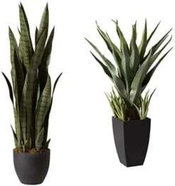 Nearly Natural, Green 4855 35in. Sansevieria With Black Planter -Artificial Trees Store 41iNxk62TdL. AC