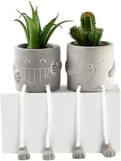 Sets Of 2 Artificial Potted Plant Small Fake Succulent Faux Plant Cute Hanging Leg Cement Potted Succulents Decor For Gift, Office Decoration, Home Décor (2 Smiley) 15 Sets Of 2 Artificial Potted Plant Small Fake Succulent Faux Plant Cute Hanging Leg Cement Potted Succulents Decor For Gift, Office Decoration, Home Décor (2 Smiley) -Artificial Trees Store 41iOSYS2vGL. AC