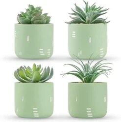 Der Rose 2 Packs Fake Plants Succulents Plants Artificial For Living Room Bedroom Aesthetic Decor -Artificial Trees Store 41iWtHZbnkL. AC