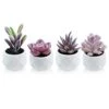 Tiita Artificial Faux Succulents In Pots Fake Plants Ceramic Arrangement Planter Small Mini Tiny Decoration For Home Office Desk Window Sill Bathroom Bedroom Outdoor Indoor 4 Set -Artificial Trees Store 41iciSz7I6L