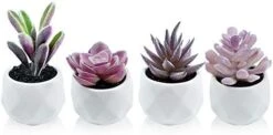 Tiita Artificial Faux Succulents In Pots Fake Plants Ceramic Arrangement Planter Small Mini Tiny Decoration For Home Office Desk Window Sill Bathroom Bedroom Outdoor Indoor -Artificial Trees Store 41iciSz7I6L. AC 1