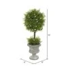 Vickerman FK172501 Everyday Juniper Topiary