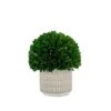 Galt International - Natural Preserved Boxwood Topiary In Cement Pot - Real Preserved Plant And Table Centerpiece - Stunning Greenery And Plant Decor For Home (9.5" Tall / 7.9" Topiary) -Artificial Trees Store 41jttwgrWWL