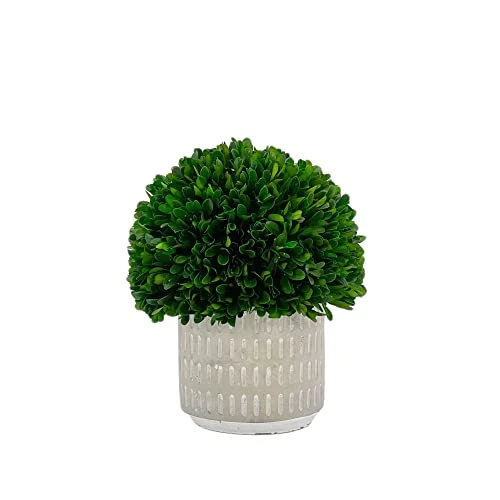 Galt International - Natural Preserved Boxwood Topiary In Cement Pot - Real Preserved Plant And Table Centerpiece - Stunning Greenery And Plant Decor For Home (9.5" Tall / 7.9" Topiary) 3 Galt International - Natural Preserved Boxwood Topiary In Cement Pot - Real Preserved Plant And Table Centerpiece - Stunning Greenery And Plant Decor For Home (9.5" Tall / 7.9" Topiary)